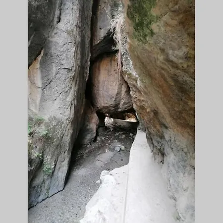 La Vereda Recien Estrenado